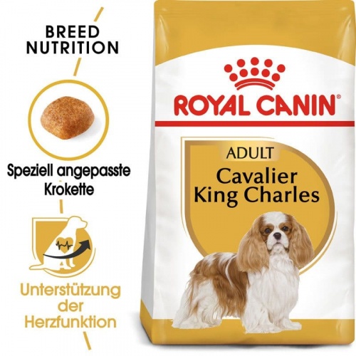BHN Cavalier King Charl. 1.5kg